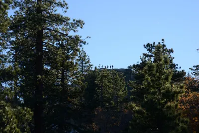 DSC_5230 (Large).JPG